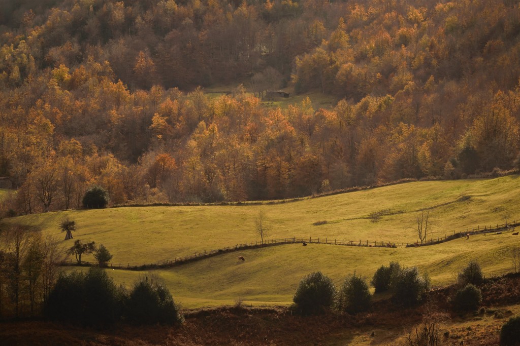 Parque Natural de Ponga, Asturias