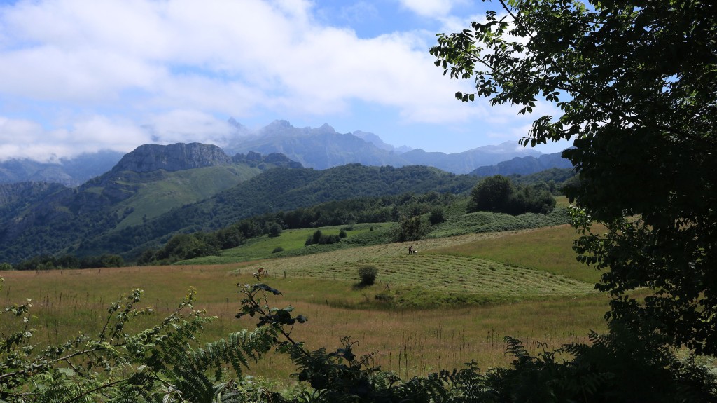 Parque Natural de Ponga, Asturias