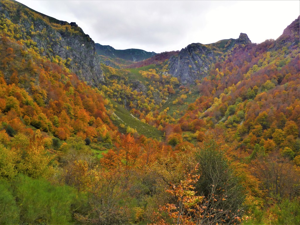 Parque Natural de Redes, Caso y Sobrescobio (Asturias)