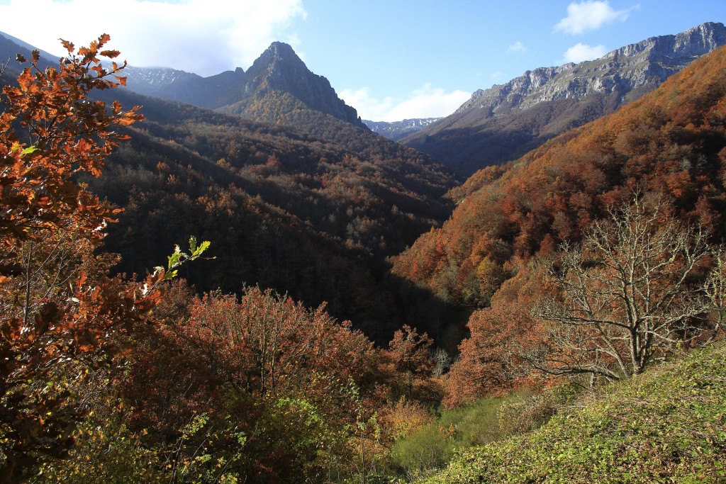 Parque Natural de Redes, Caso y Sobrescobio (Asturias)