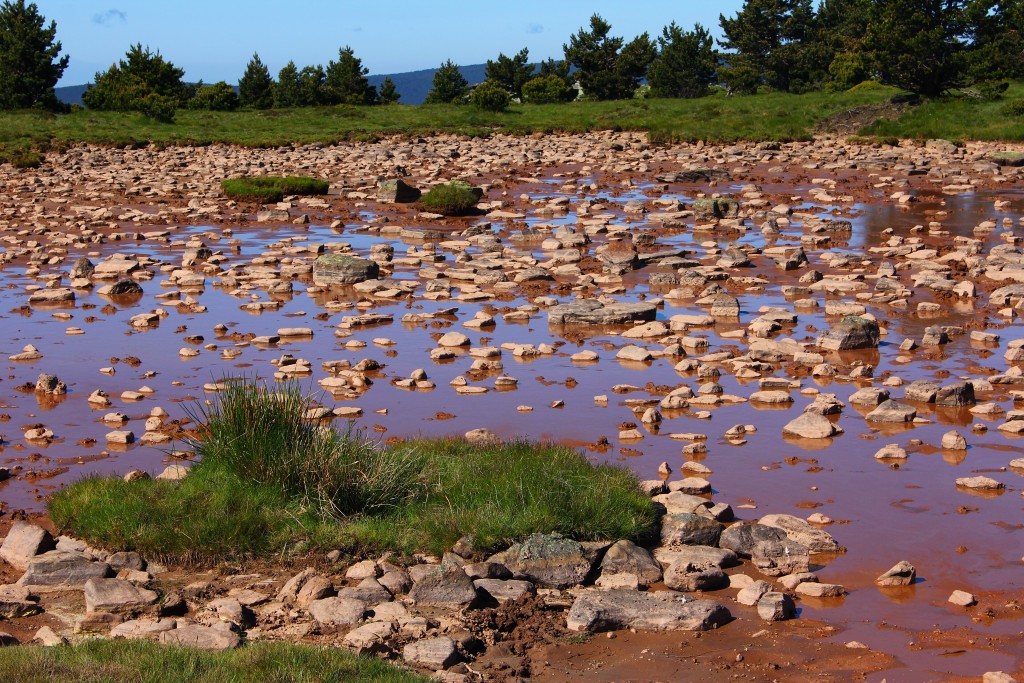 Parque Natural de Sierra Cebollera, La Rioja