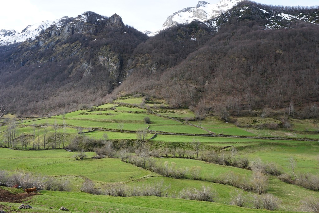 Parque Natural de Somiedo, Asturias