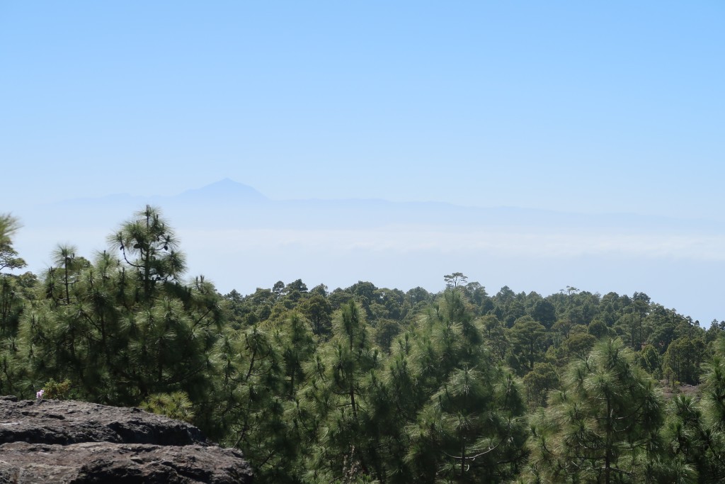 Parque Natural de Tamadaba, Gran Canaria