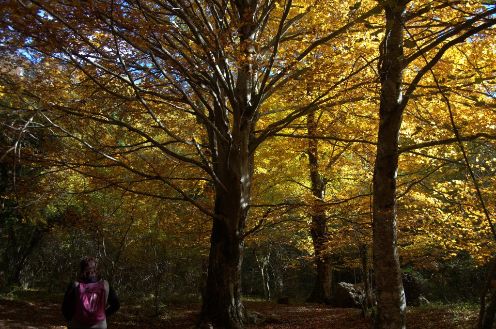 Parque Natural de Urbasa y Andía, Navarra