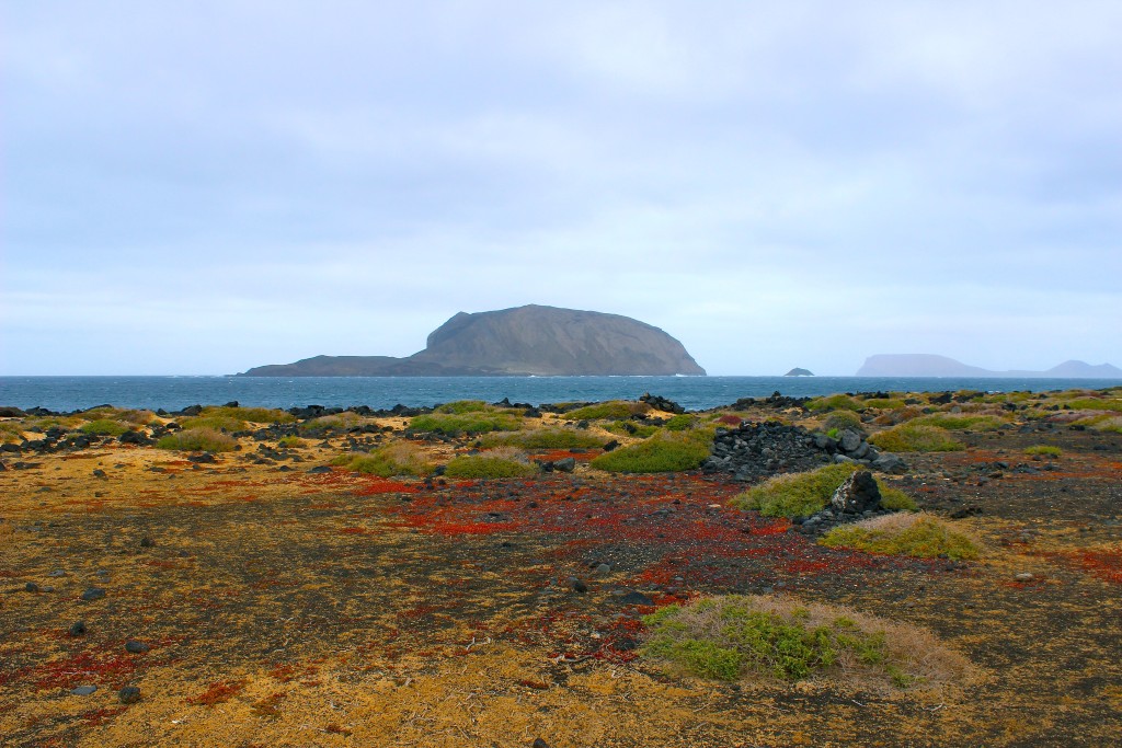 Parque Natural del Archipiélago Chinijo, Lanzarote