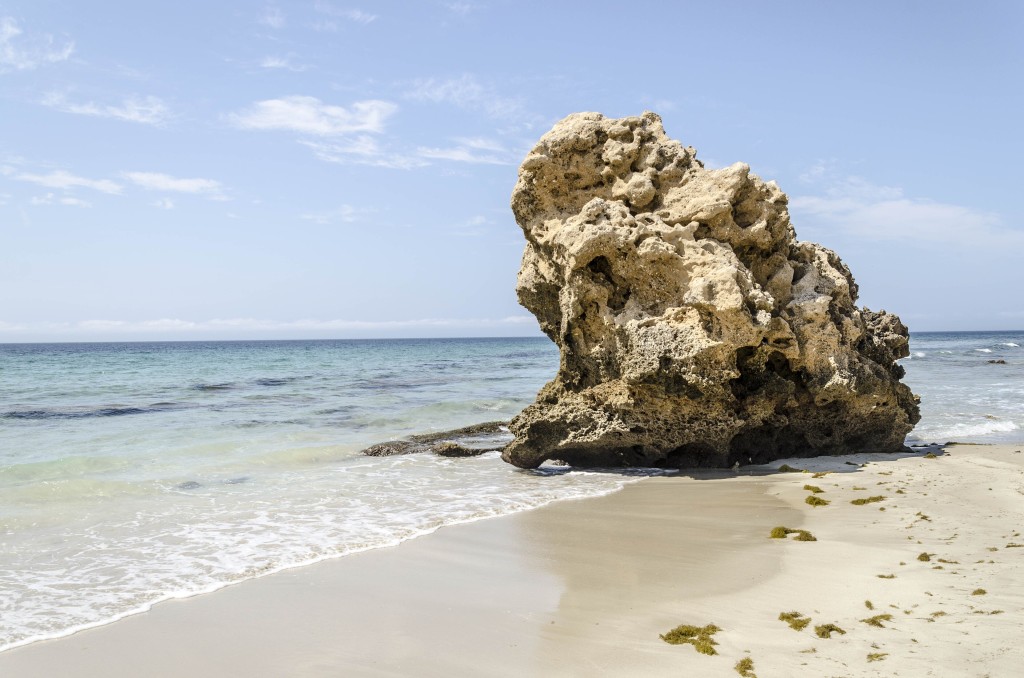 Parque Natural del Estrecho, Cádiz