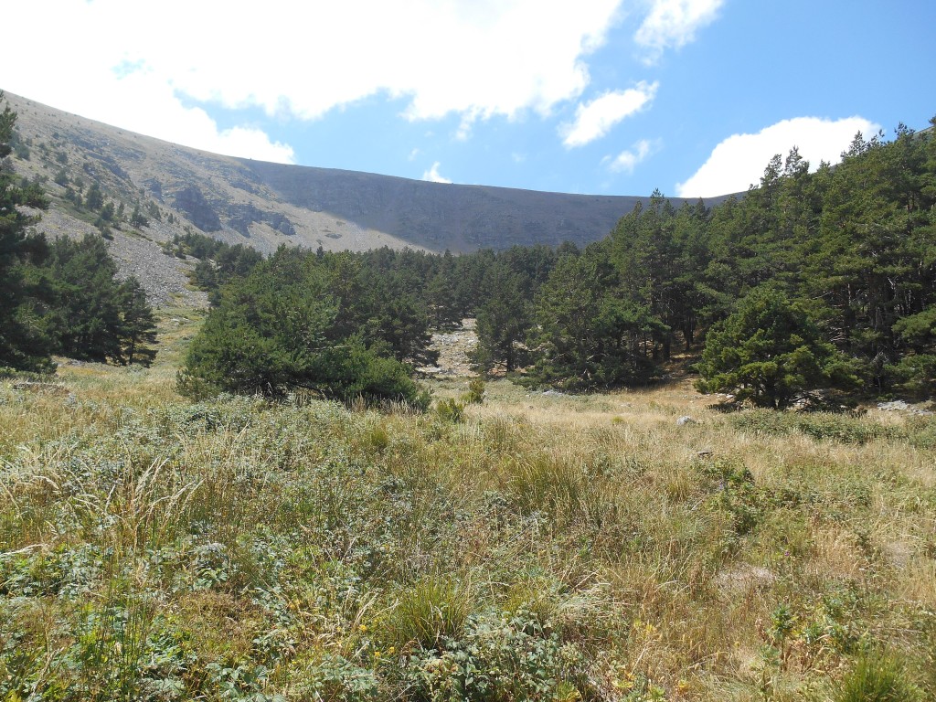 Parque Natural del Moncayo, Zaragoza