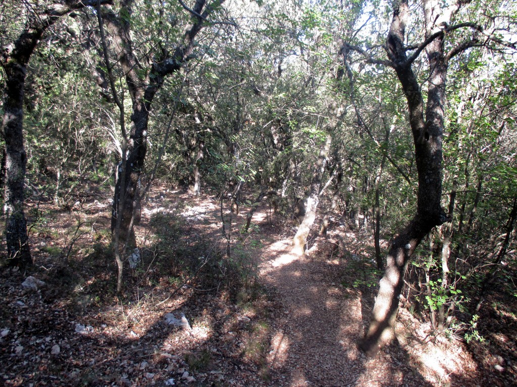 Parque Natural Font Roja, Alcoi (Alicante)