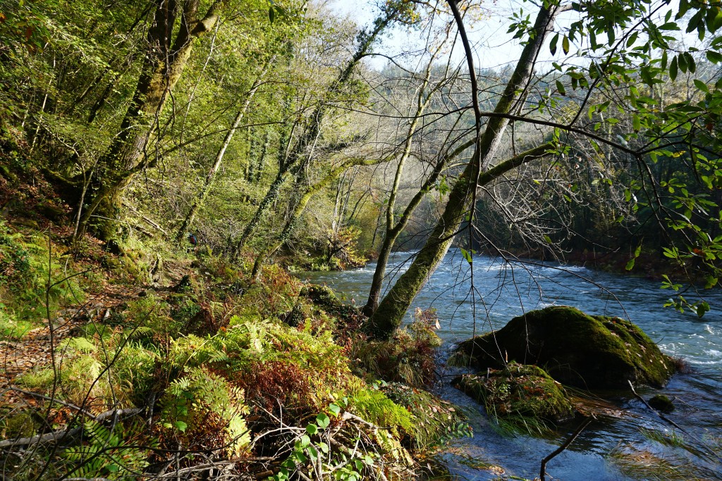 Parque Natural Fragas do Eume, A Coruña