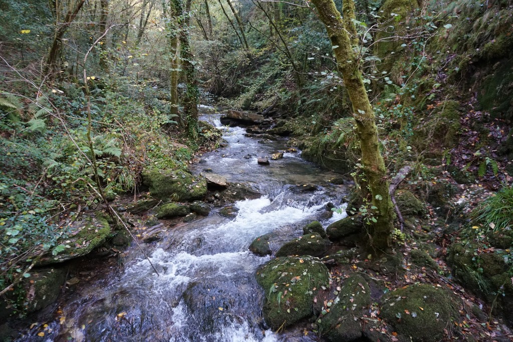 Parque Natural Fragas do Eume, A Coruña