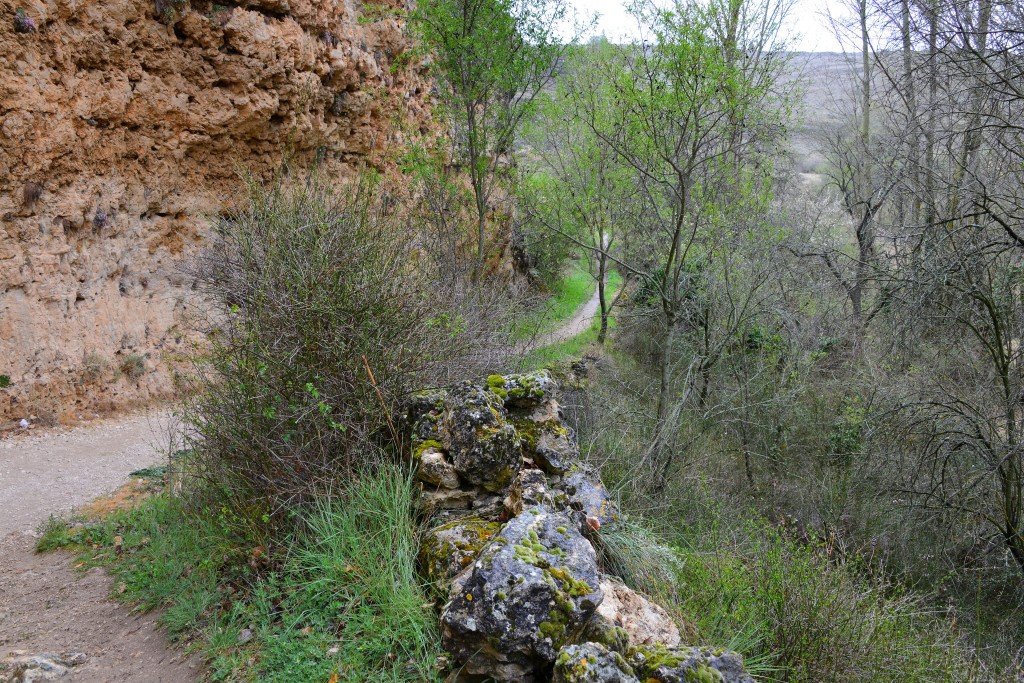 Parque Natural Hoces del Río Duratón, Segovia