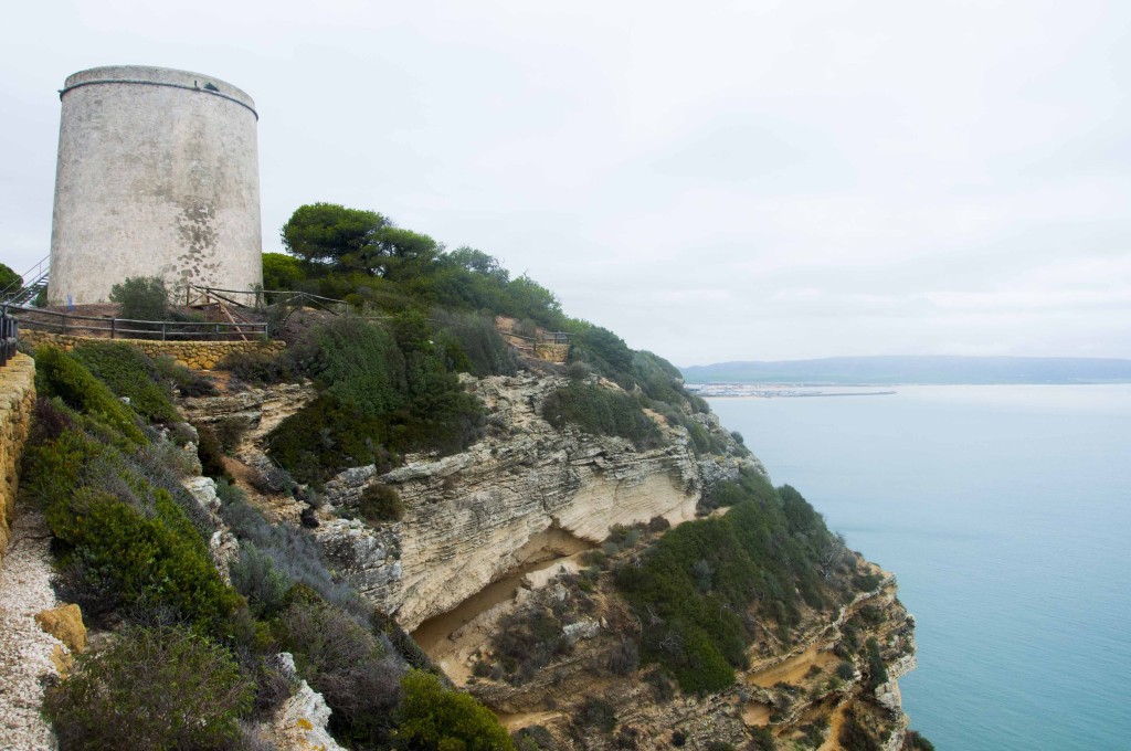 Parque Natural La Breña y Marismas del Barbate, Cádiz