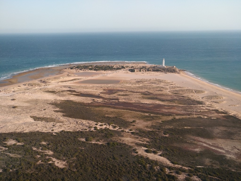 Parque Natural La Breña y Marismas del Barbate, Cádiz