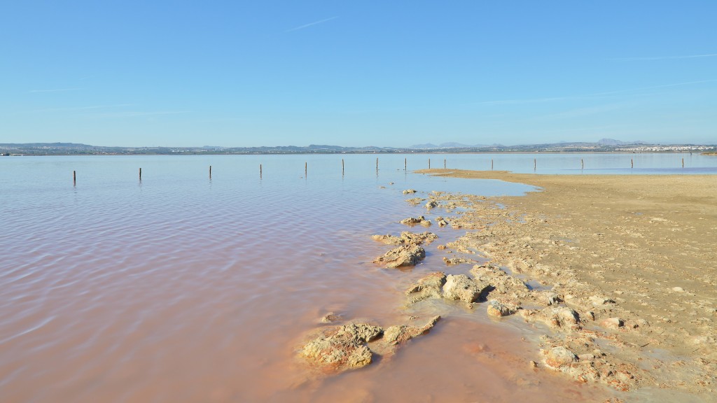 Parque Natural Lagunas de la Mata-Torrevieja, Alicante