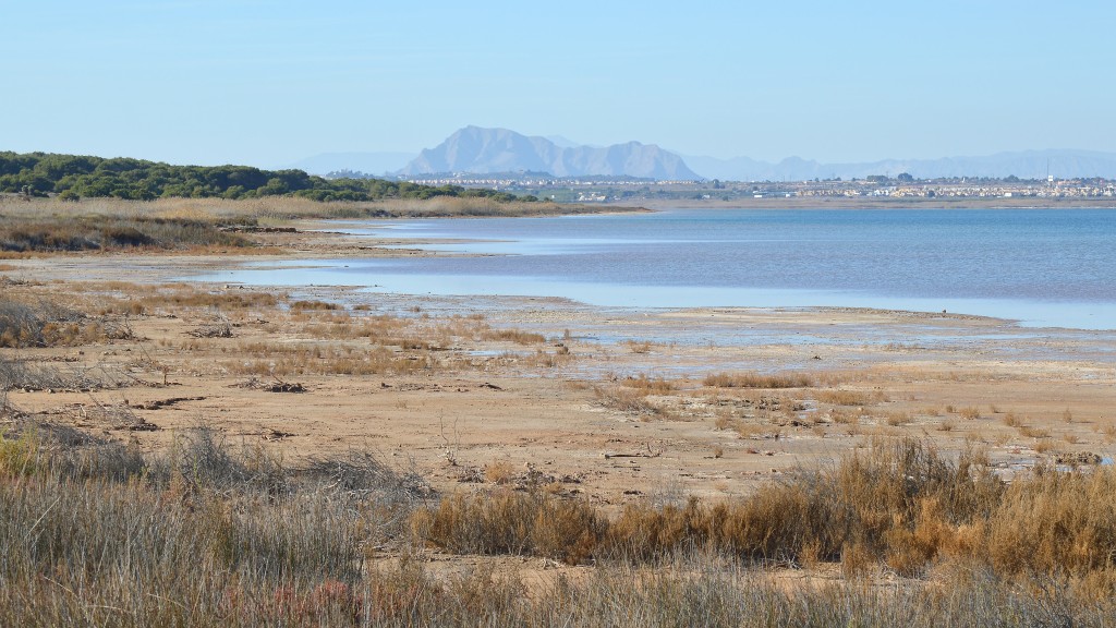 Parque Natural Lagunas de la Mata-Torrevieja, Alicante