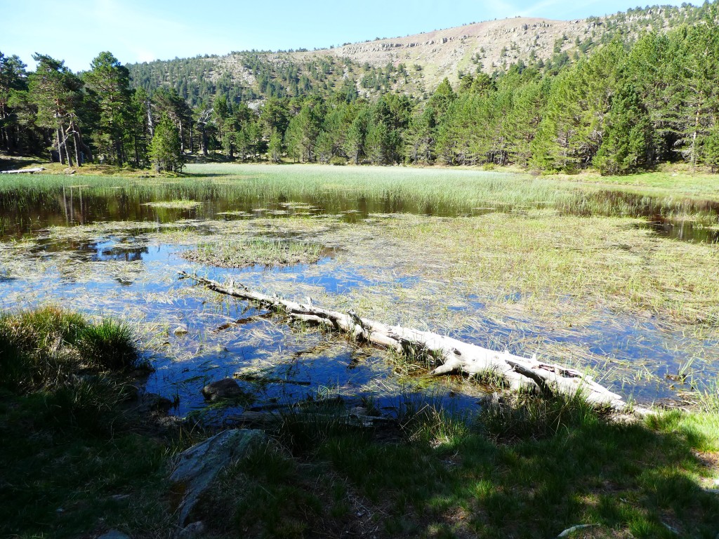 Parque Natural Lagunas Glaciares de Neila, Burgos