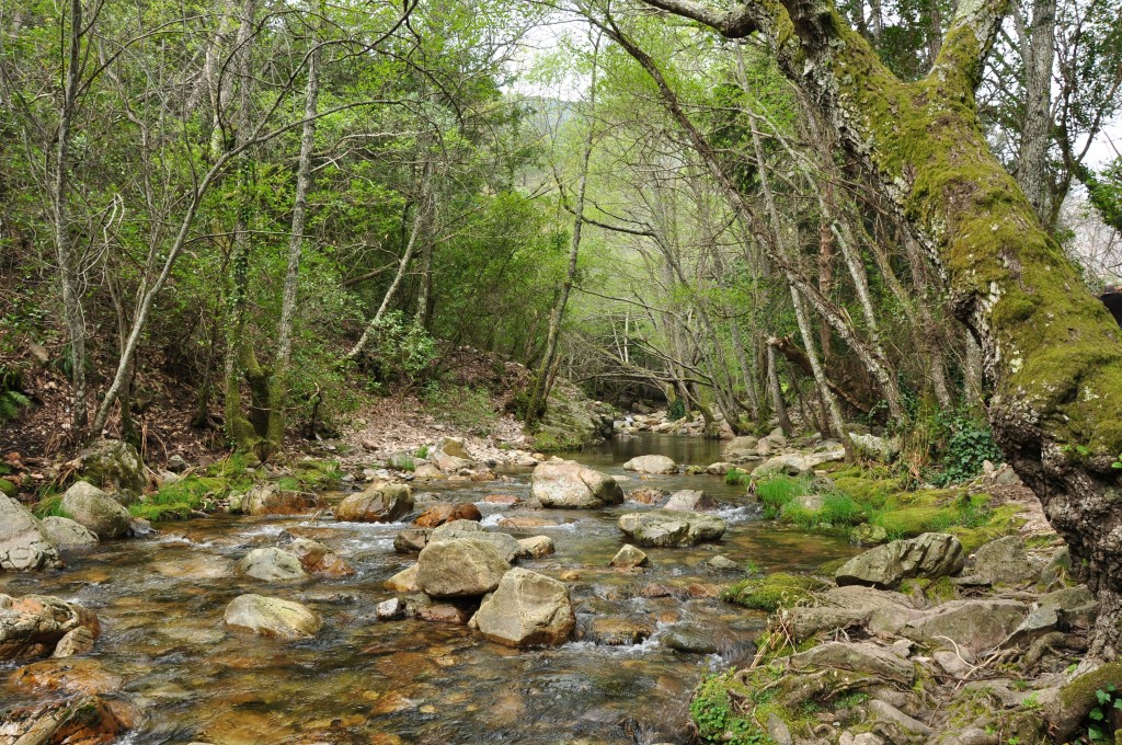 Parque Natural Las Batuecas-Sierra de Francia, Salamanca