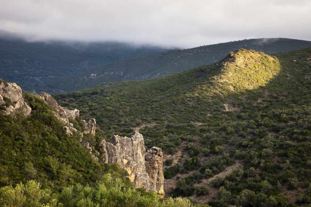 Parque Natural Los Alcornocales, Cádiz y Málaga