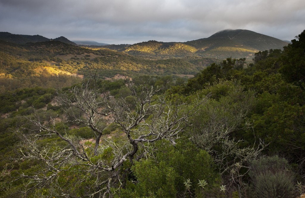 Parque Natural Los Alcornocales, Cádiz y Málaga