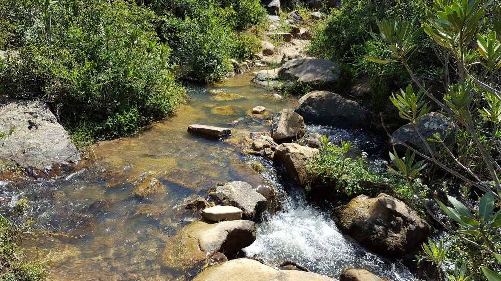 Parque Natural Los Alcornocales, Cádiz y Málaga
