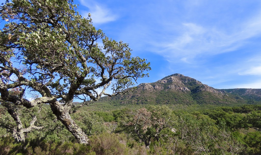 Parque Natural Los Alcornocales, Cádiz y Málaga