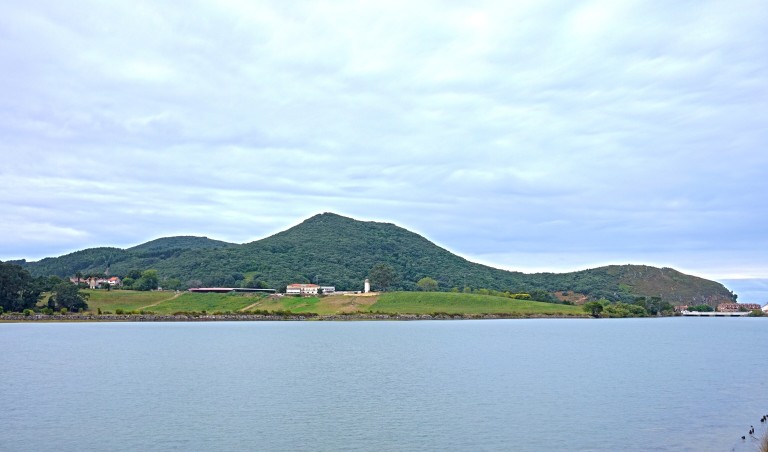 Parque Natural Marismas de Santoña, Victoria y Joyel, Cantabria