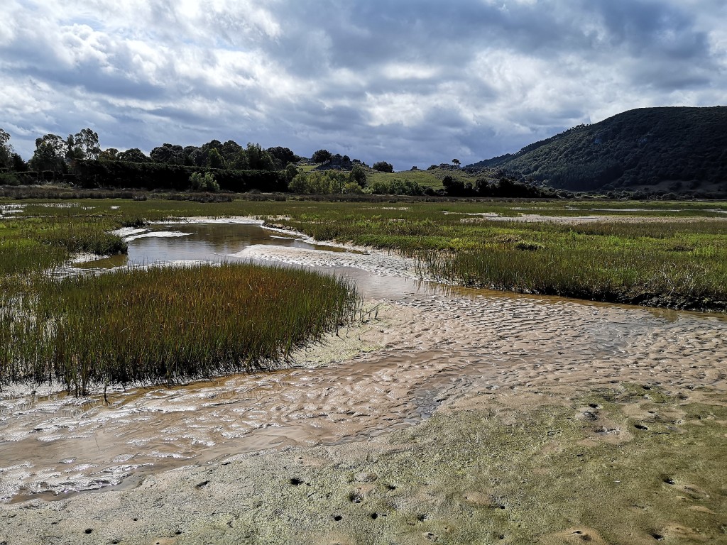 Parque Natural Marismas de Santoña, Victoria y Joyel, Cantabria