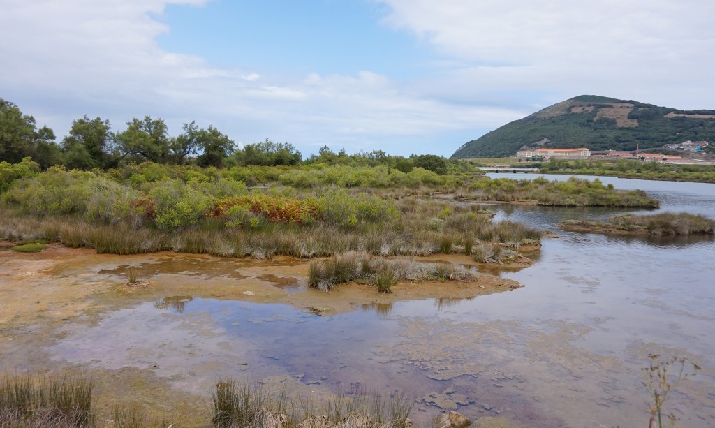 Parque Natural Marismas de Santoña, Victoria y Joyel, Cantabria