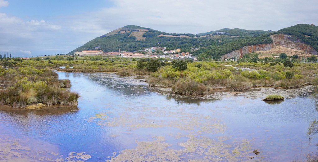 Parque Natural Marismas de Santoña, Victoria y Joyel, Cantabria