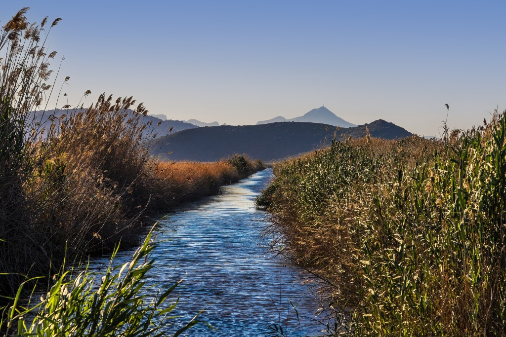 Parque Natural Marjal de Pego-Oliva, Pego (Alicante)