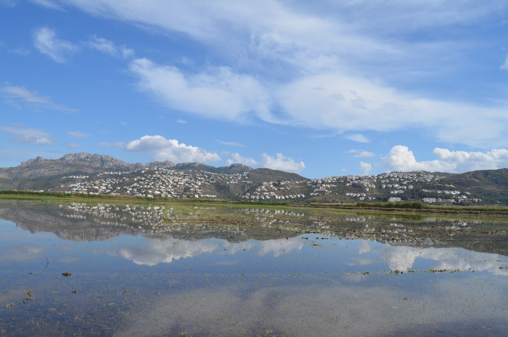 Parque Natural Marjal de Pego-Oliva, Pego (Alicante)
