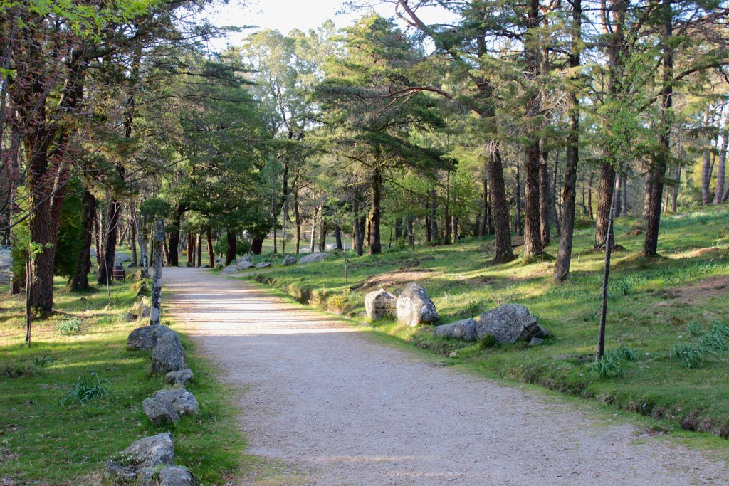 Parque Natural Monte Aloia, Tui (Pontevedra)