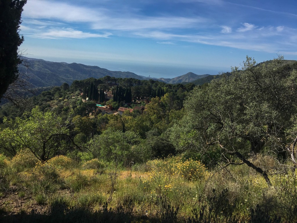 Parque Natural Montes de Málaga, Málaga