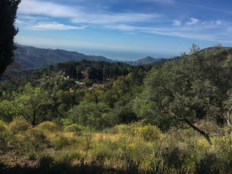 Parque Natural Montes de Málaga, Málaga