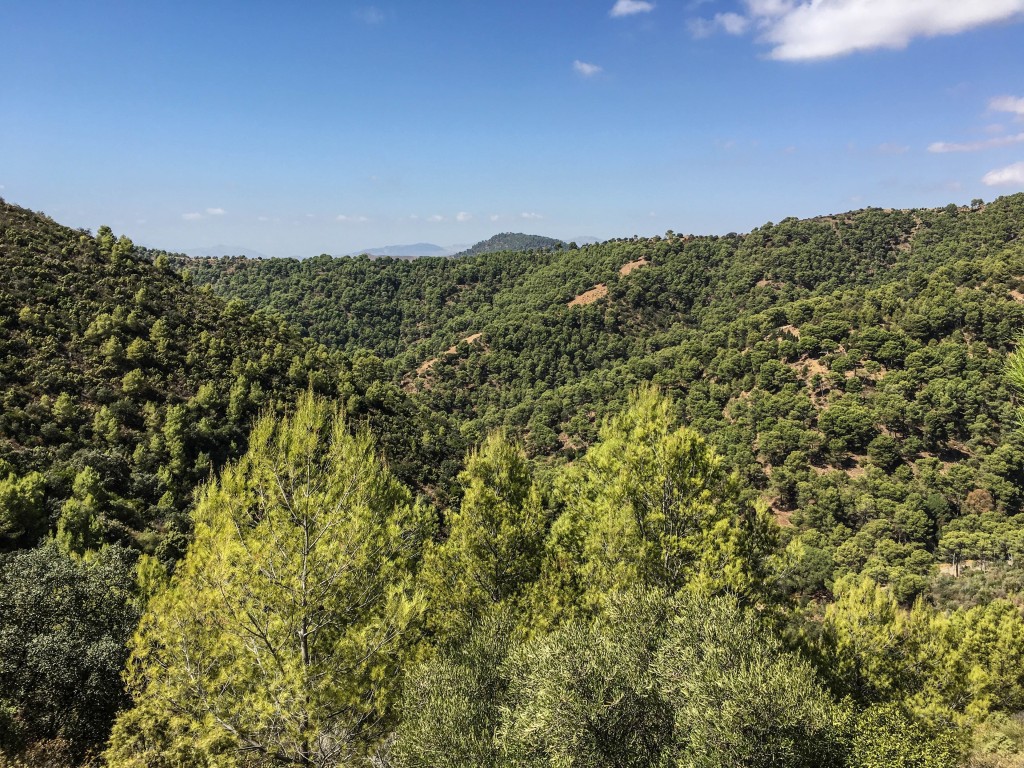 Parque Natural Montes de Málaga, Málaga