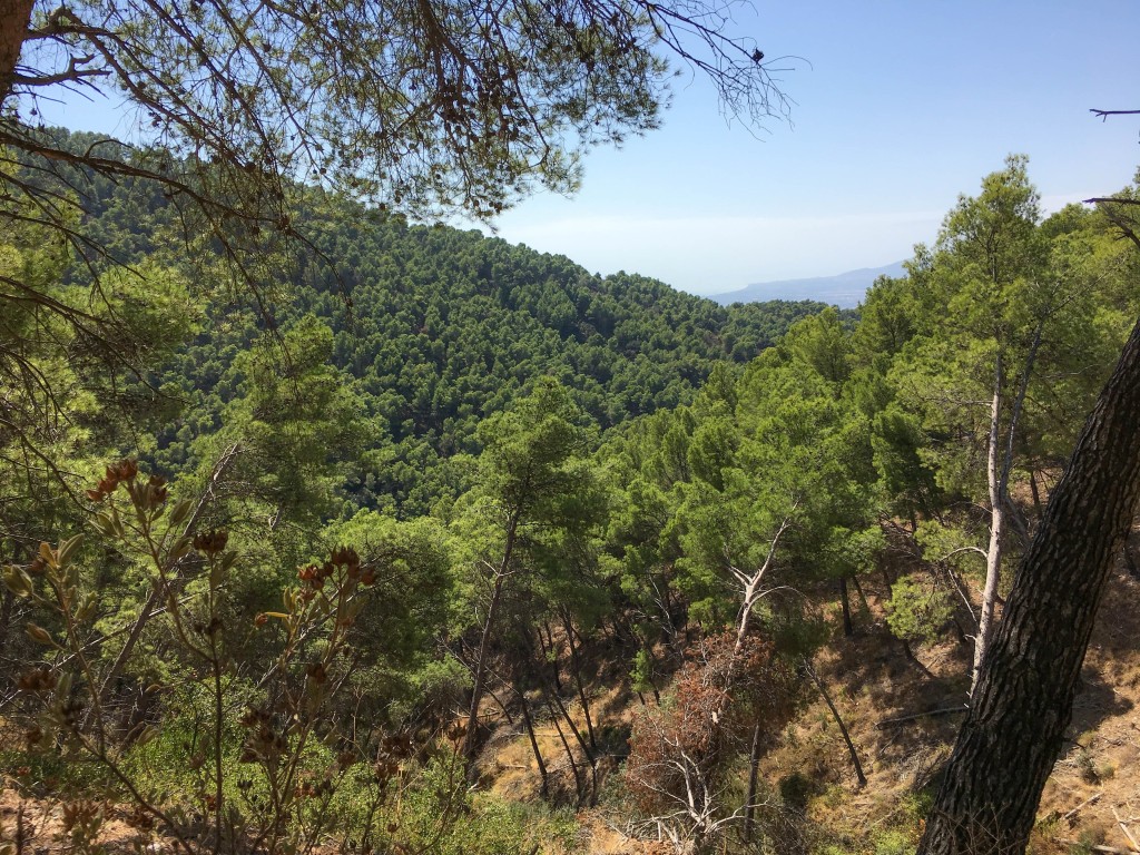 Parque Natural Montes de Málaga, Málaga
