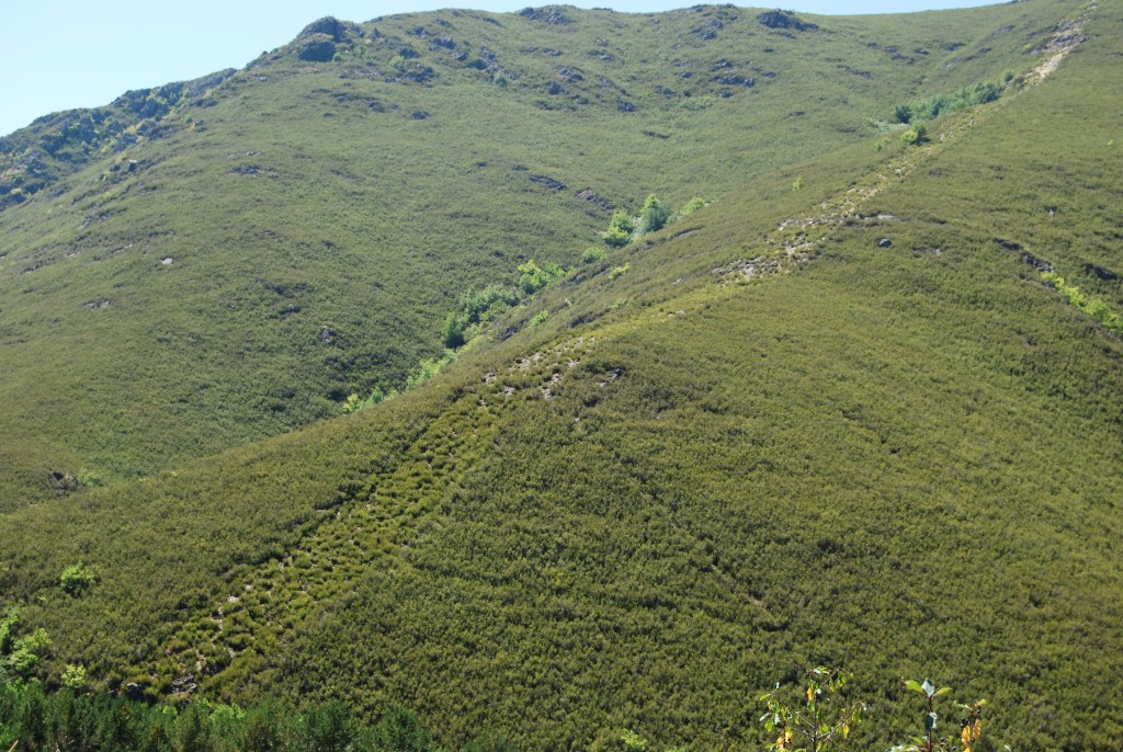 Parque Natural O Invernadeiro, Ourense