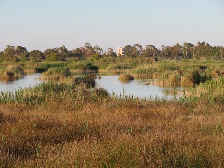 Parque Natural Prat de Cabanes-Torreblanca, Castellón