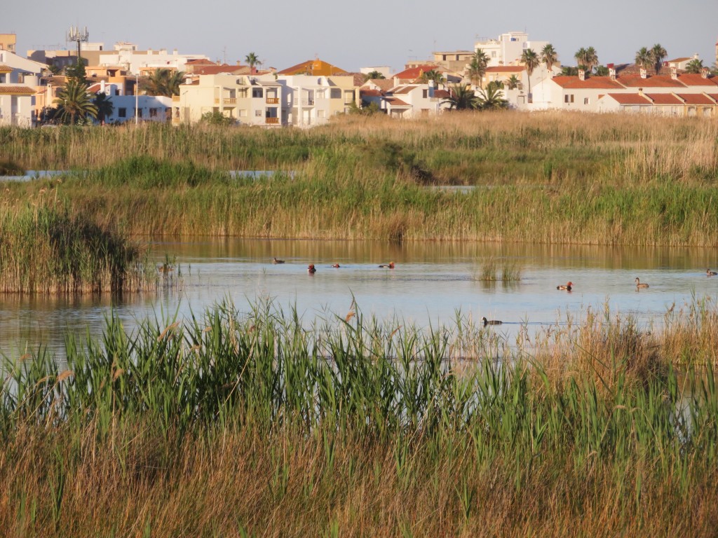 Parque Natural Prat de Cabanes-Torreblanca, Castellón