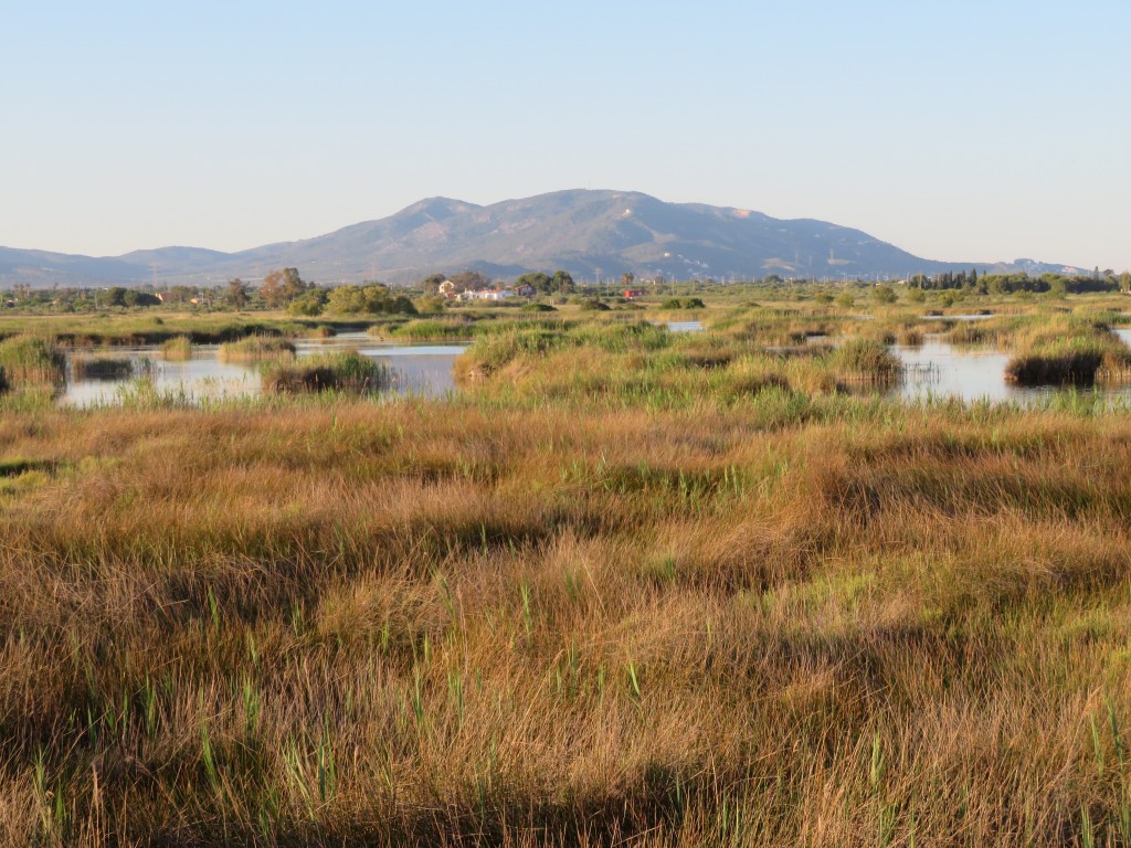 Parque Natural Prat de Cabanes-Torreblanca, Castellón