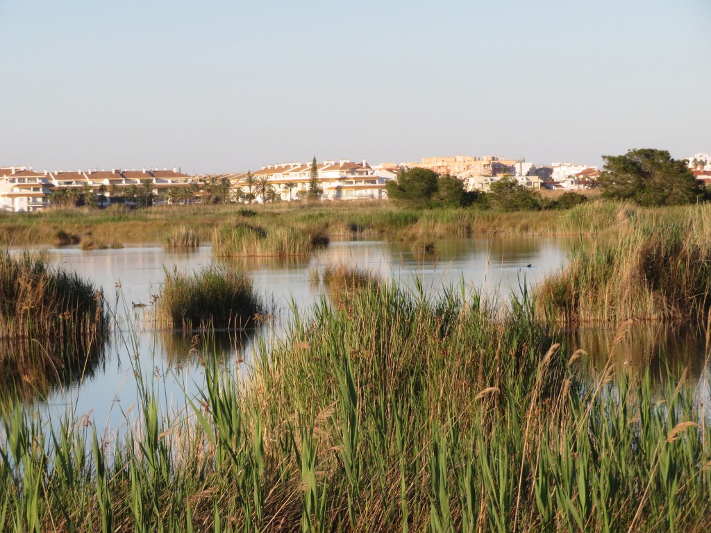 Parque Natural Prat de Cabanes-Torreblanca, Castellón
