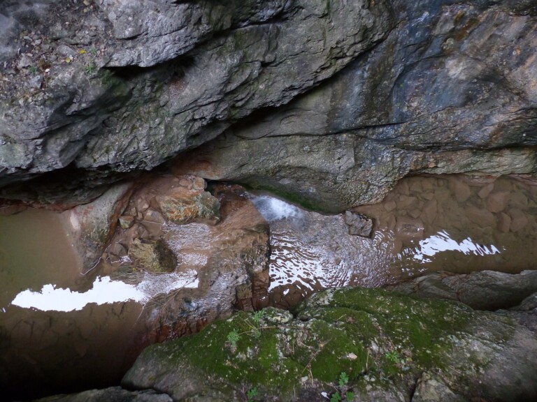 Parque Natural Sabinares del Arlanza y La Yecla, Burgos