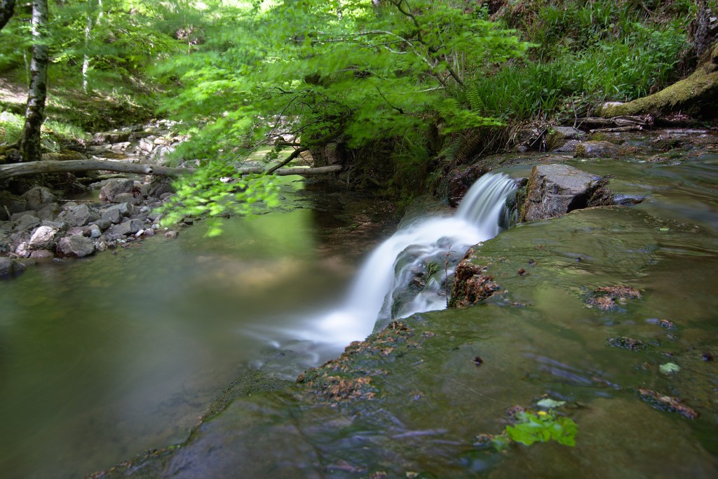 Parque Natural Saja-Besaya, Cantabria