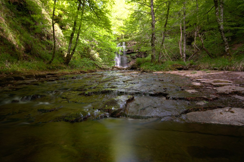 Parque Natural Saja-Besaya, Cantabria