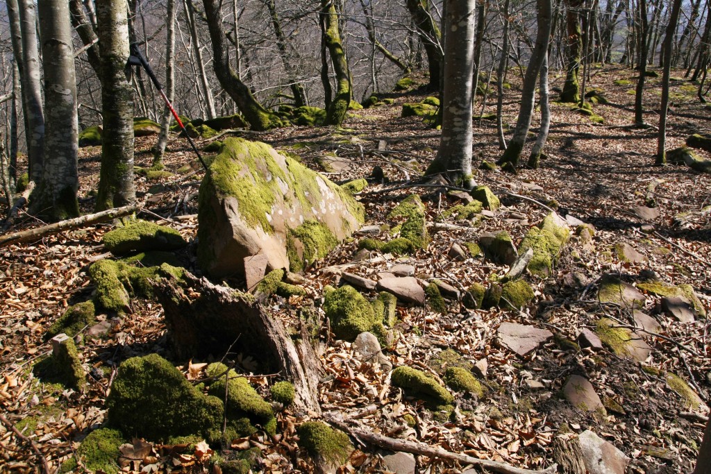 Parque Natural Señorío de Bértiz, Navarra