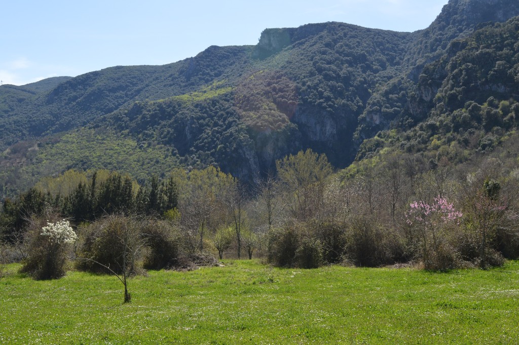 Parque Natural Serra da Enciña da Lastra, Ourense