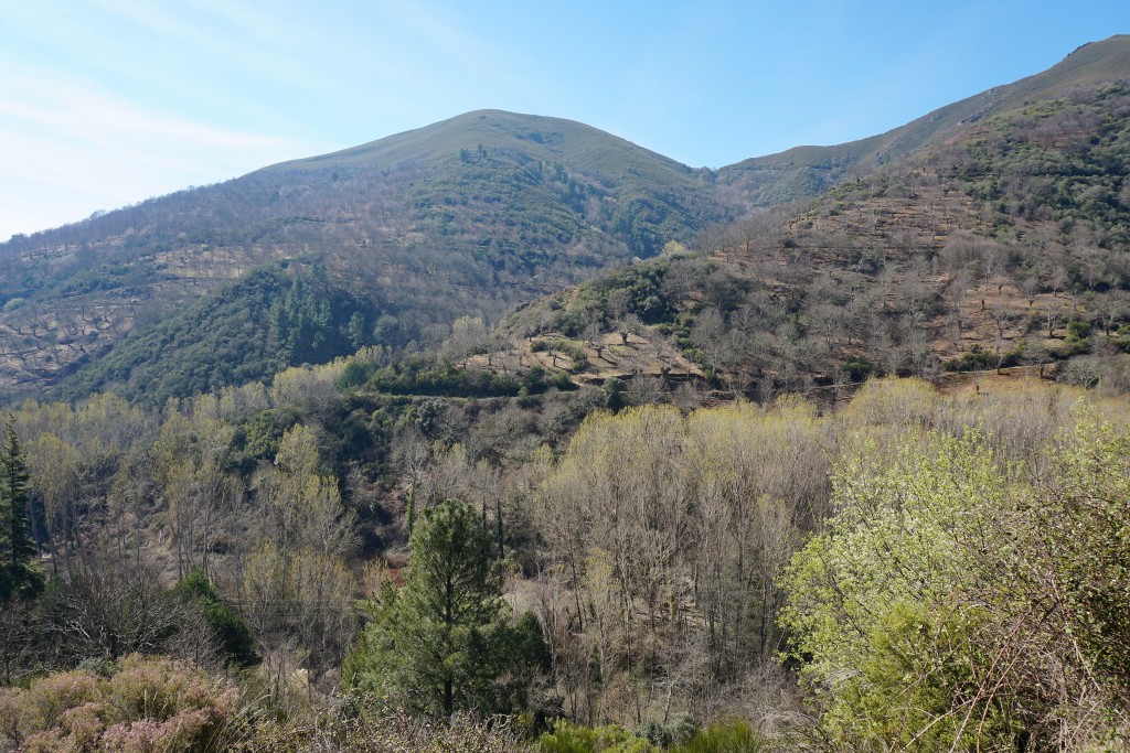 Parque Natural Serra da Enciña da Lastra, Ourense