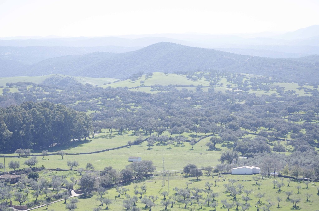 Parque Natural Sierra de Aracena y Picos de Aroche, Huelva