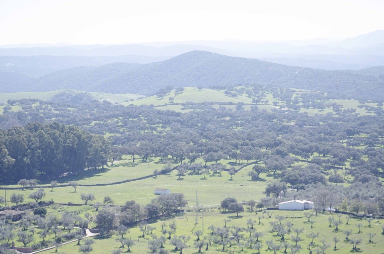 Parque Natural Sierra de Aracena y Picos de Aroche, Huelva