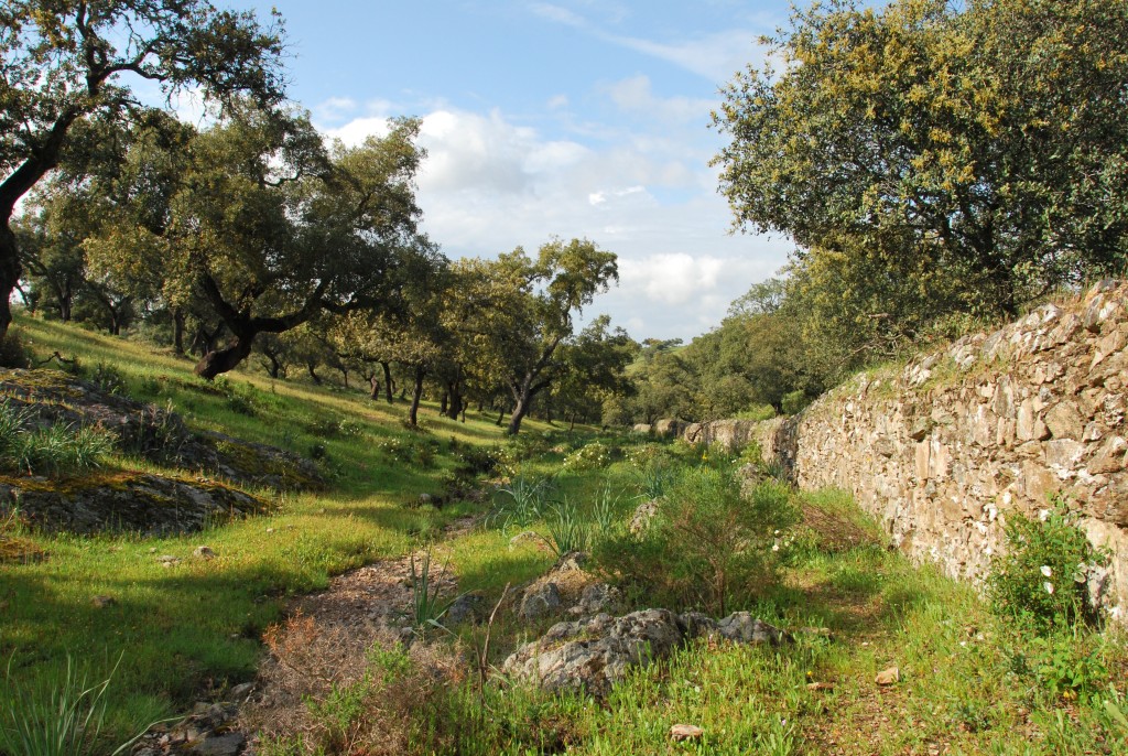 Parque Natural Sierra de Aracena y Picos de Aroche, Huelva